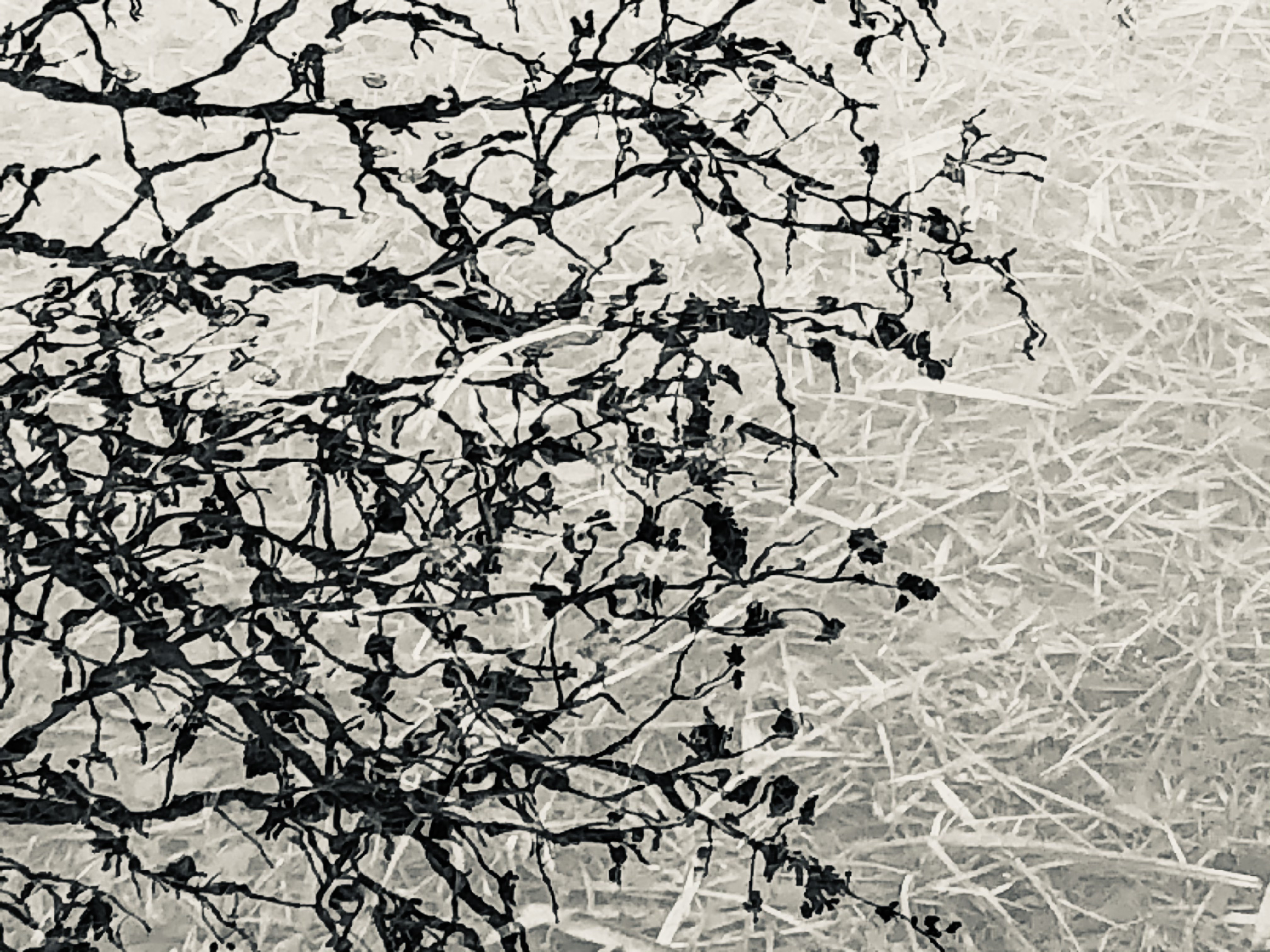 Vernissage   see you! Ansichten vom See